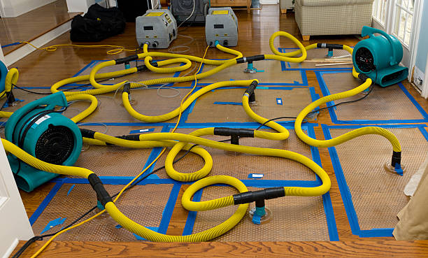 Professional Burst Pipe Water Damage technician working in Langeloth, PA